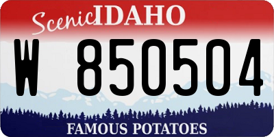 ID license plate W850504