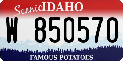 ID license plate W850570