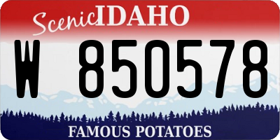 ID license plate W850578