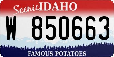 ID license plate W850663
