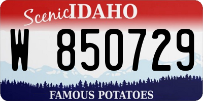 ID license plate W850729