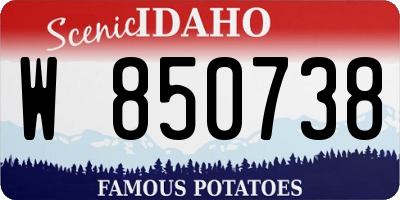 ID license plate W850738