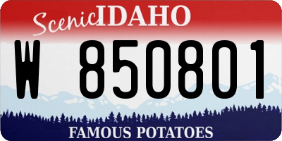 ID license plate W850801