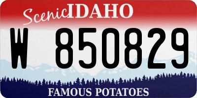 ID license plate W850829