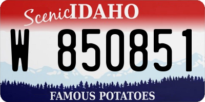 ID license plate W850851