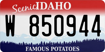ID license plate W850944