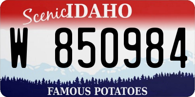 ID license plate W850984