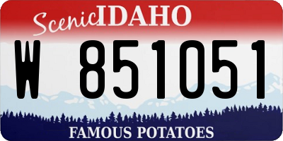 ID license plate W851051