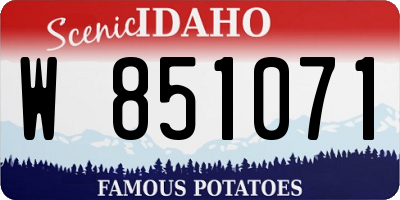 ID license plate W851071