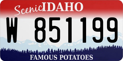 ID license plate W851199
