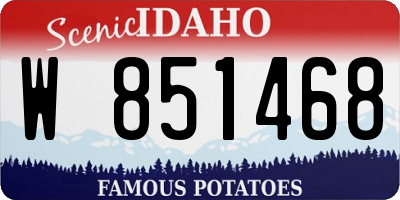 ID license plate W851468