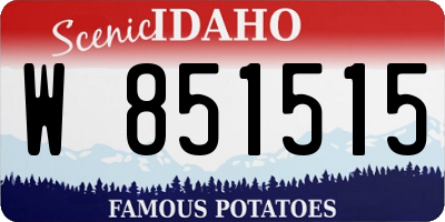 ID license plate W851515