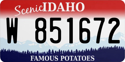 ID license plate W851672