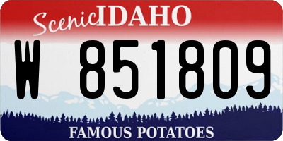 ID license plate W851809