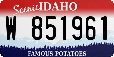 ID license plate W851961