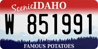 ID license plate W851991