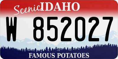 ID license plate W852027