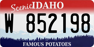 ID license plate W852198