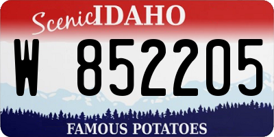 ID license plate W852205