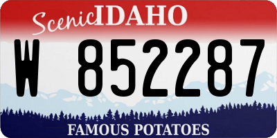 ID license plate W852287