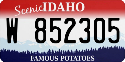 ID license plate W852305