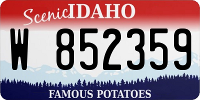 ID license plate W852359