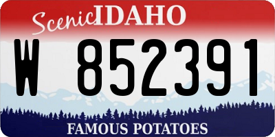 ID license plate W852391