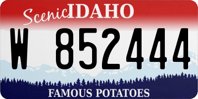 ID license plate W852444