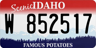 ID license plate W852517