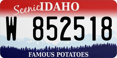 ID license plate W852518
