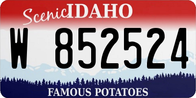 ID license plate W852524