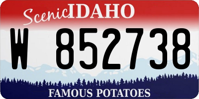 ID license plate W852738