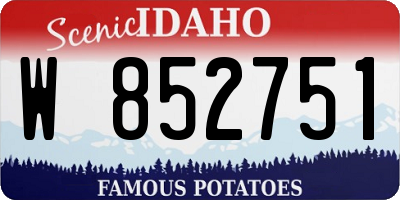 ID license plate W852751