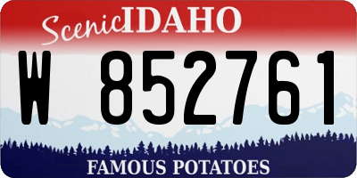 ID license plate W852761