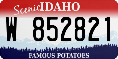 ID license plate W852821