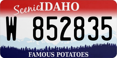 ID license plate W852835