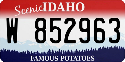 ID license plate W852963