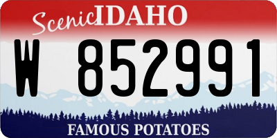 ID license plate W852991