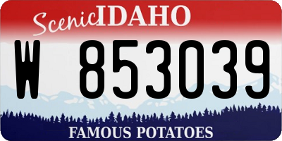 ID license plate W853039