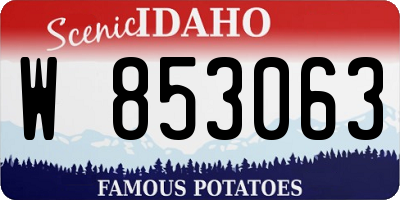 ID license plate W853063