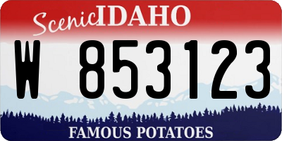 ID license plate W853123