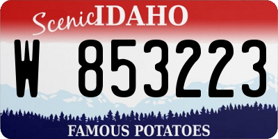 ID license plate W853223