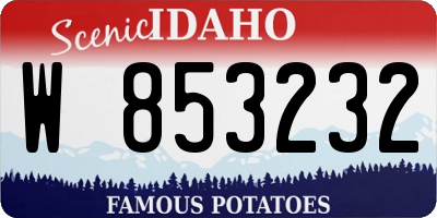 ID license plate W853232