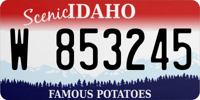 ID license plate W853245