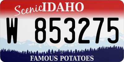 ID license plate W853275