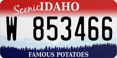 ID license plate W853466
