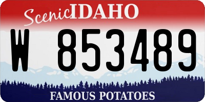 ID license plate W853489
