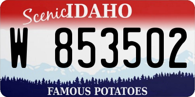 ID license plate W853502
