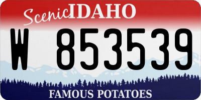 ID license plate W853539