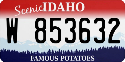 ID license plate W853632